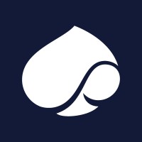 capgemini logo